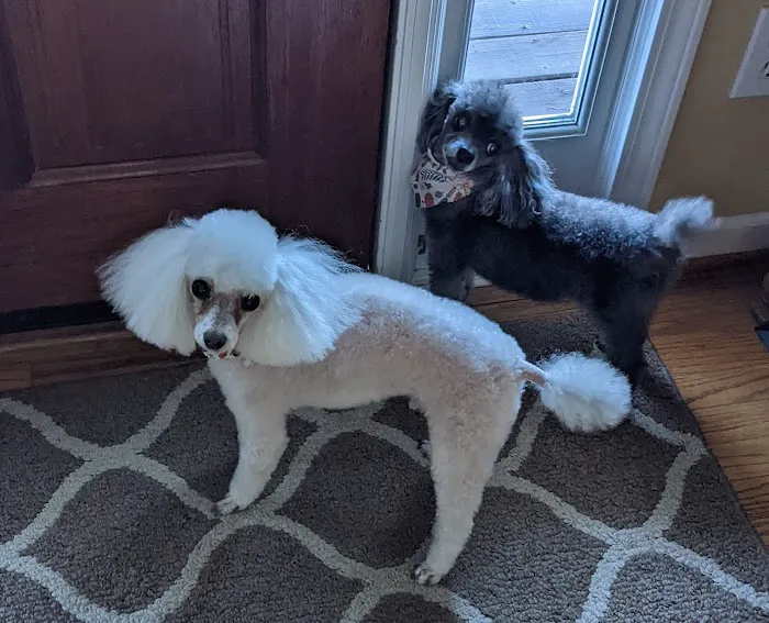 Allatoona Animal Hospital Picture 10