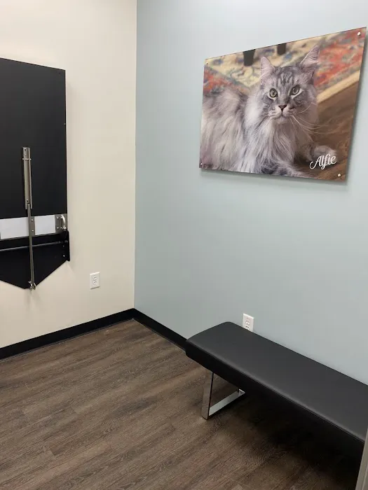 CityVet | Woodstock Veterinary Clinic Picture 9