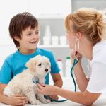 The Pet Hospital of Woodstock