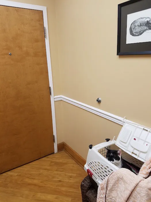 Cat Clinic of Woodstock Picture 7