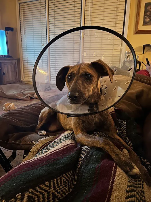 Affordable Vet Center Picture 6