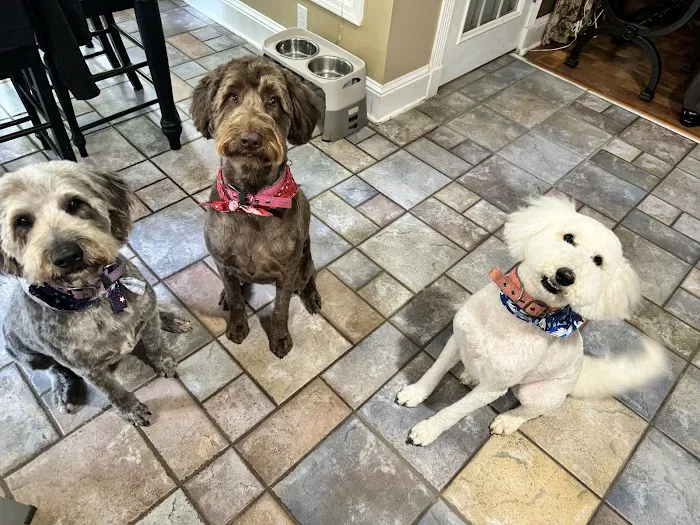 Affordable Vet Center Picture 5