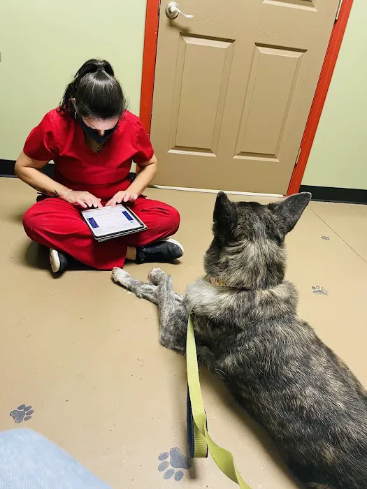 Affordable Vet Center Picture 7
