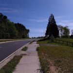 Foxdale Equine Veterinary Services