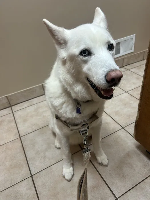 Forsyth Animal Hospital Picture 3