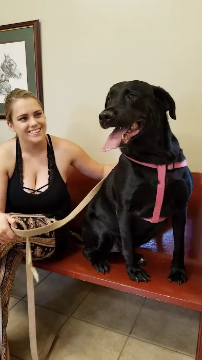 Forsyth Animal Hospital Picture 8