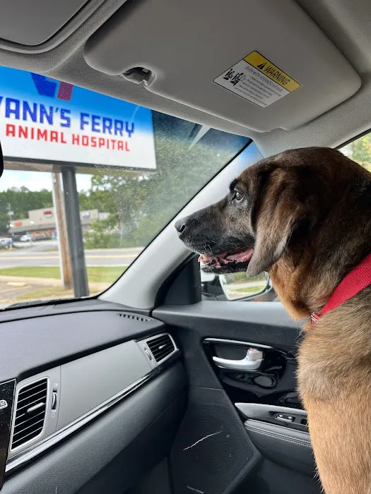 Vann's Ferry Animal Hospital Picture 8