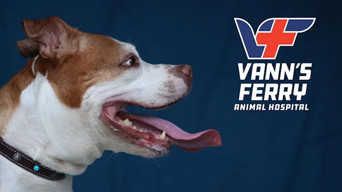 Vann's Ferry Animal Hospital Picture 10