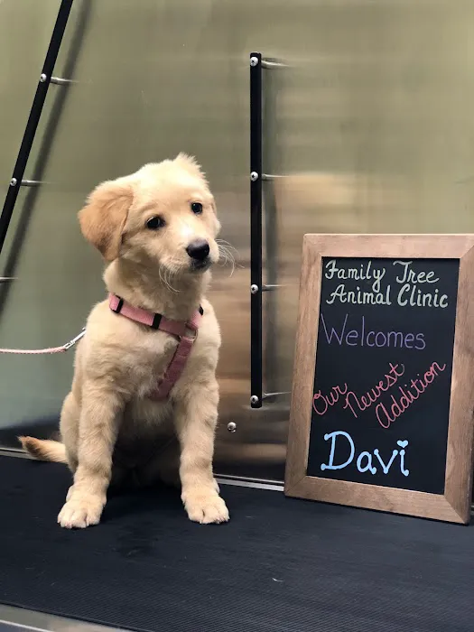 Family Tree Animal Clinic Picture 5