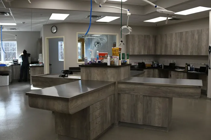 AWC Animal Wellness Clinic Picture 7