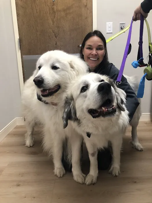 AWC Animal Wellness Clinic Picture 8