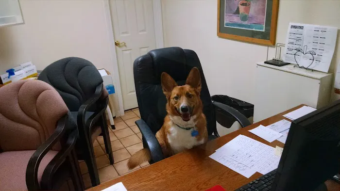 Sweetapple Animal Hospital Picture 2