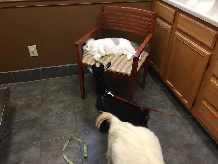 Cumming Veterinary Clinic Picture 4