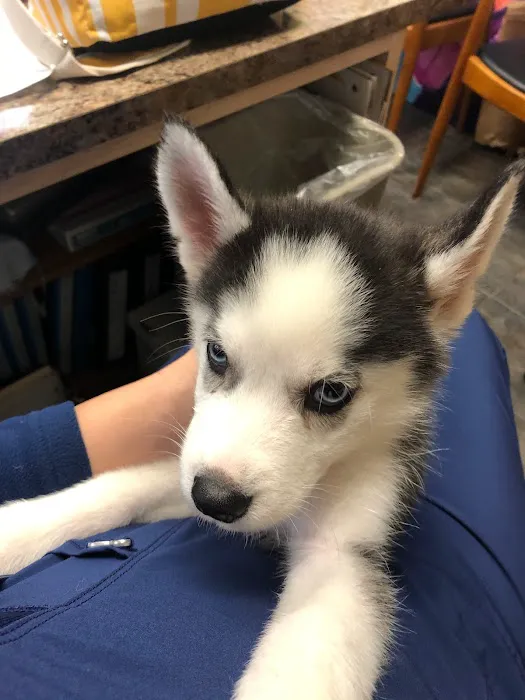 Cumming Veterinary Clinic Picture 7