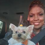 Spay Neuter Vets
