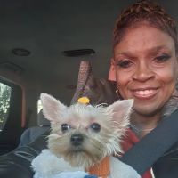 Spay Neuter Vets ico