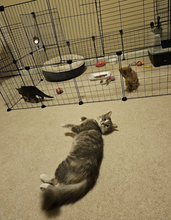 Spay Neuter Vets Picture 8