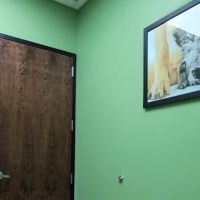 Atlanta Animal Hospital ico