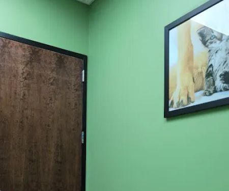 Atlanta Animal Hospital