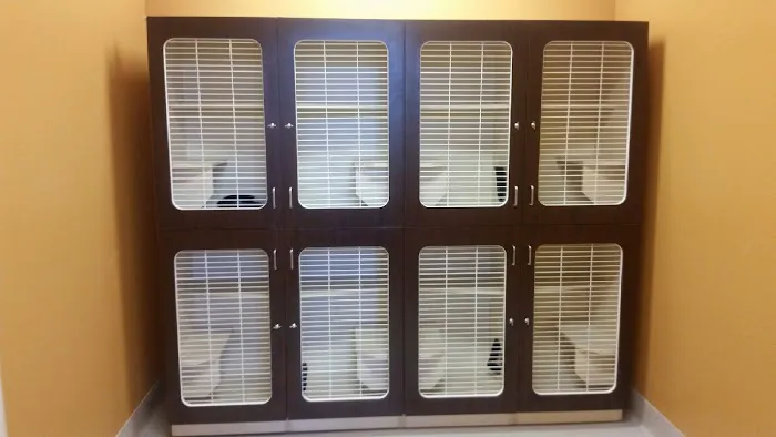 Atlanta Animal Hospital Picture 2
