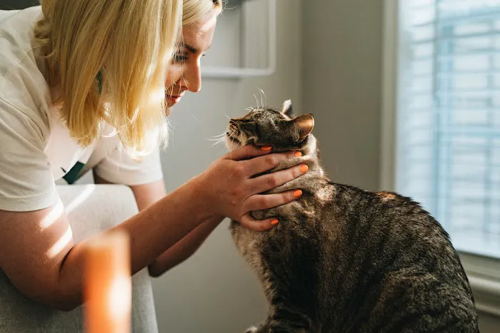 Vine Animal Hospital Picture 1