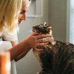 Vine Animal Hospital