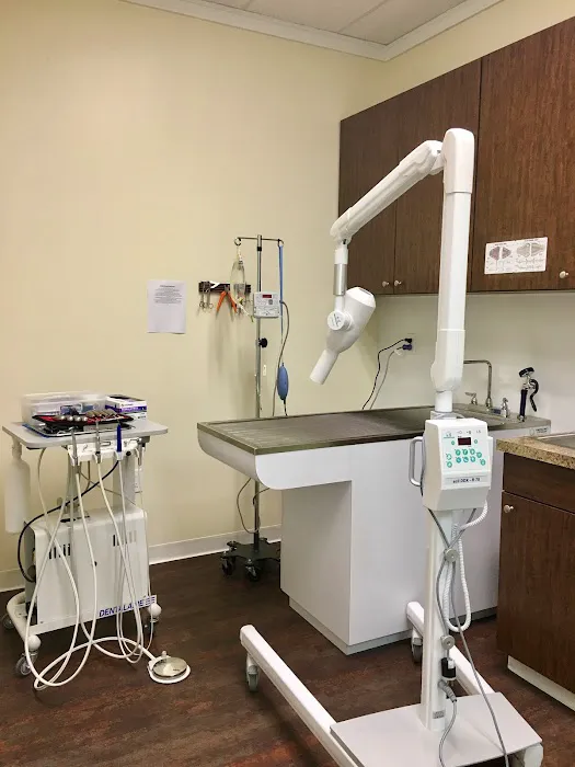 Vine Animal Hospital Picture 6