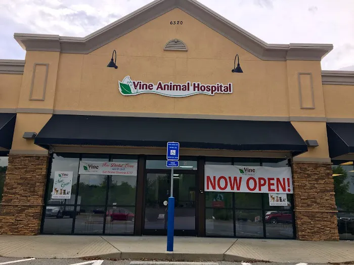 Vine Animal Hospital Picture 8