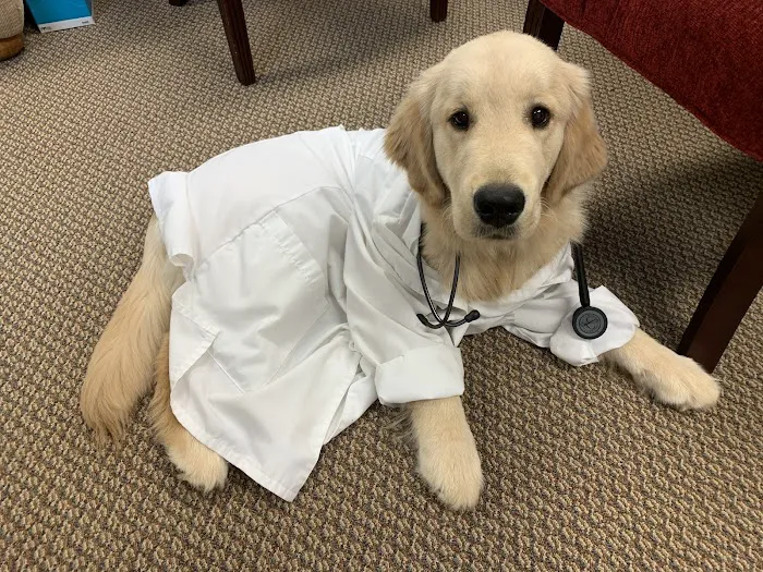 Midway Animal Hospital Picture 4