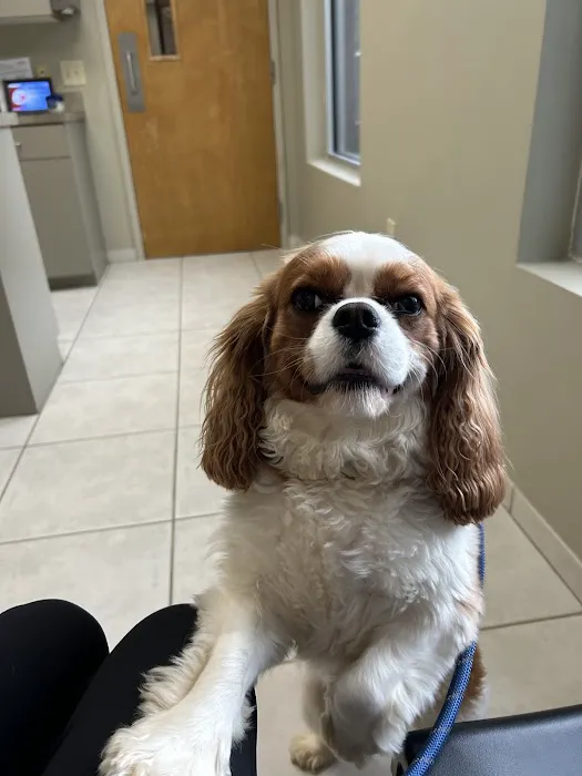 Midway Animal Hospital Picture 6