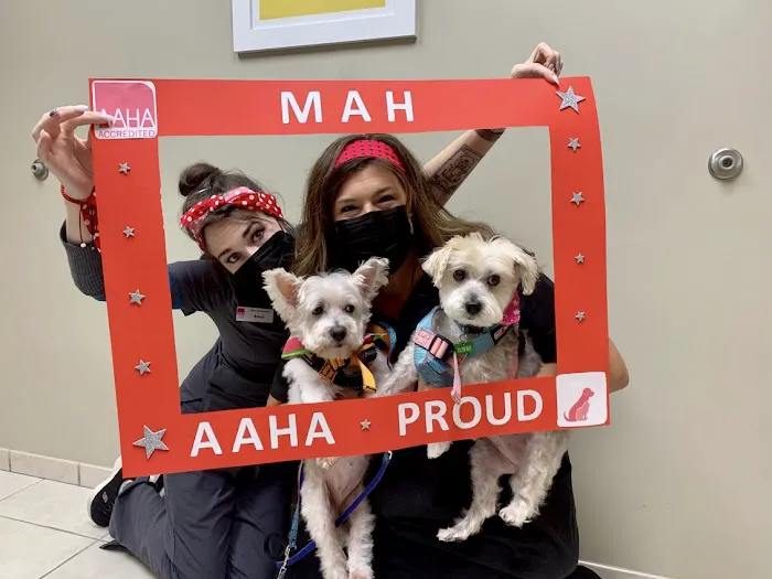 Midway Animal Hospital Picture 10
