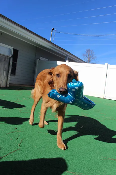 Barkfield Animal Hospital Picture 6