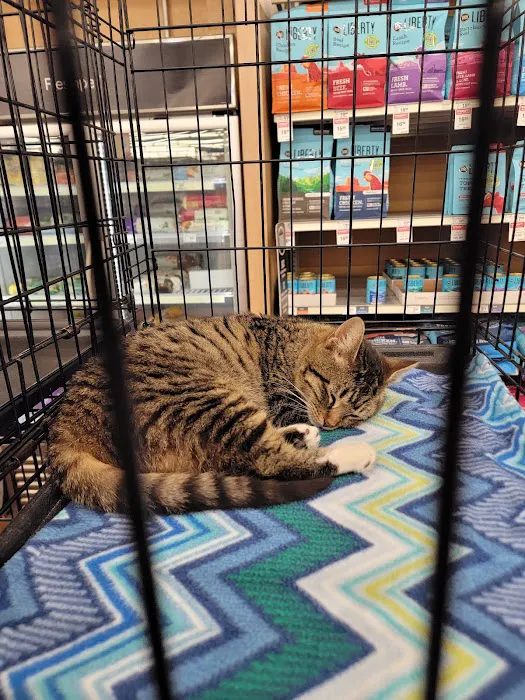 Banfield Pet Hospital Picture 2