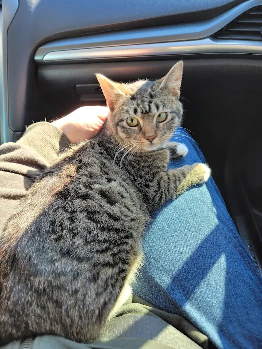 Banfield Pet Hospital Picture 5