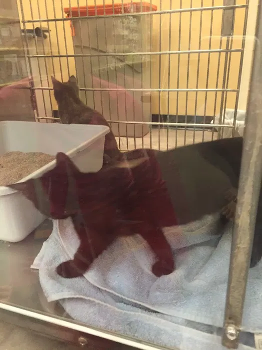 Banfield Pet Hospital Picture 9