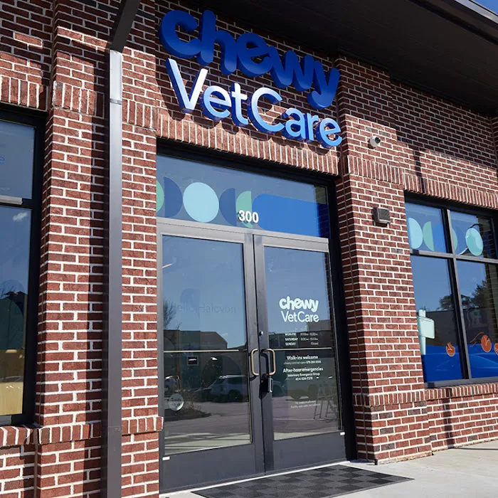 Chewy Vet Care Halcyon Picture 6