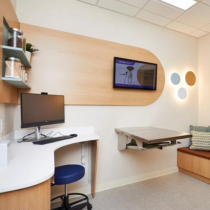 Chewy Vet Care Halcyon Picture 7