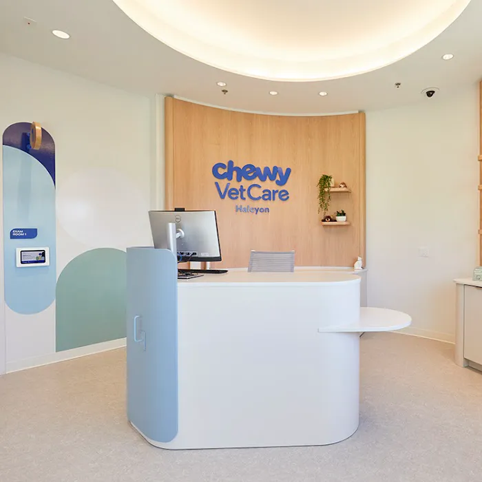 Chewy Vet Care Halcyon Picture 10