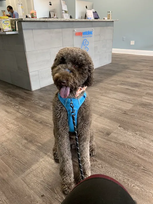 easyvet Veterinarian Alpharetta Picture 1