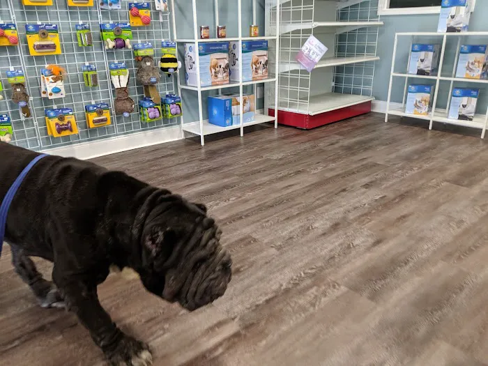 easyvet Veterinarian Alpharetta Picture 10