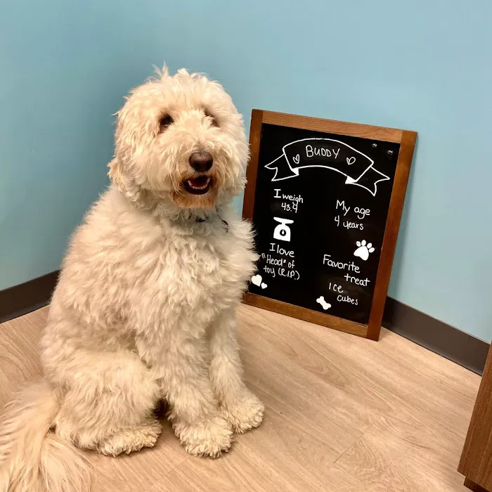 Edgewater Animal Hospital Picture 1