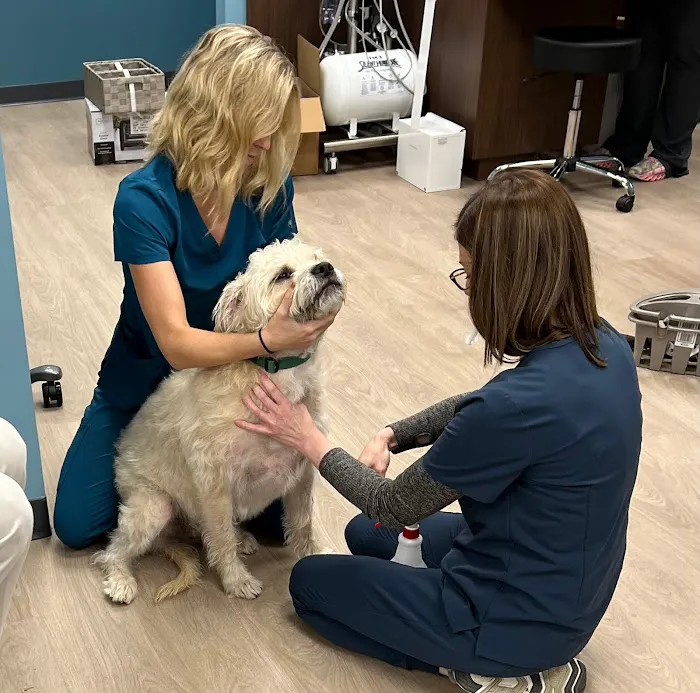 Edgewater Animal Hospital Picture 4