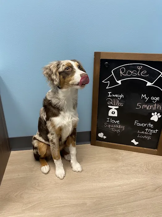 Edgewater Animal Hospital Picture 6