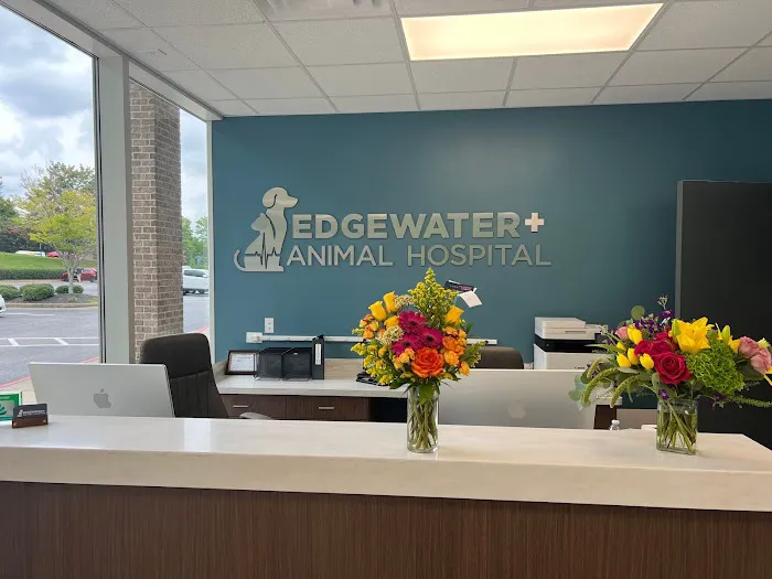 Edgewater Animal Hospital Picture 3