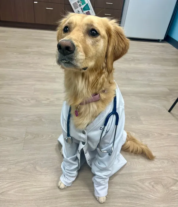 Edgewater Animal Hospital Picture 8