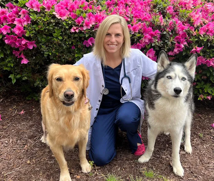 Edgewater Animal Hospital Picture 7