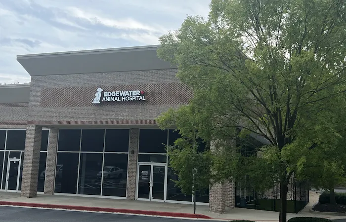 Edgewater Animal Hospital Picture 10