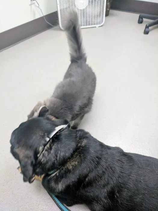 Pleasure Island Animal Hospital Picture 7