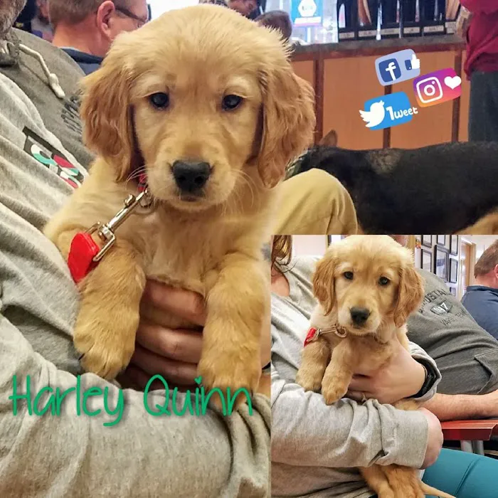 Asheville Highway Animal Hospital, LLC Picture 8