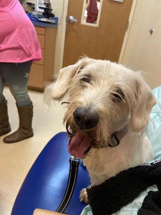 Asheville Highway Animal Hospital, LLC Picture 10